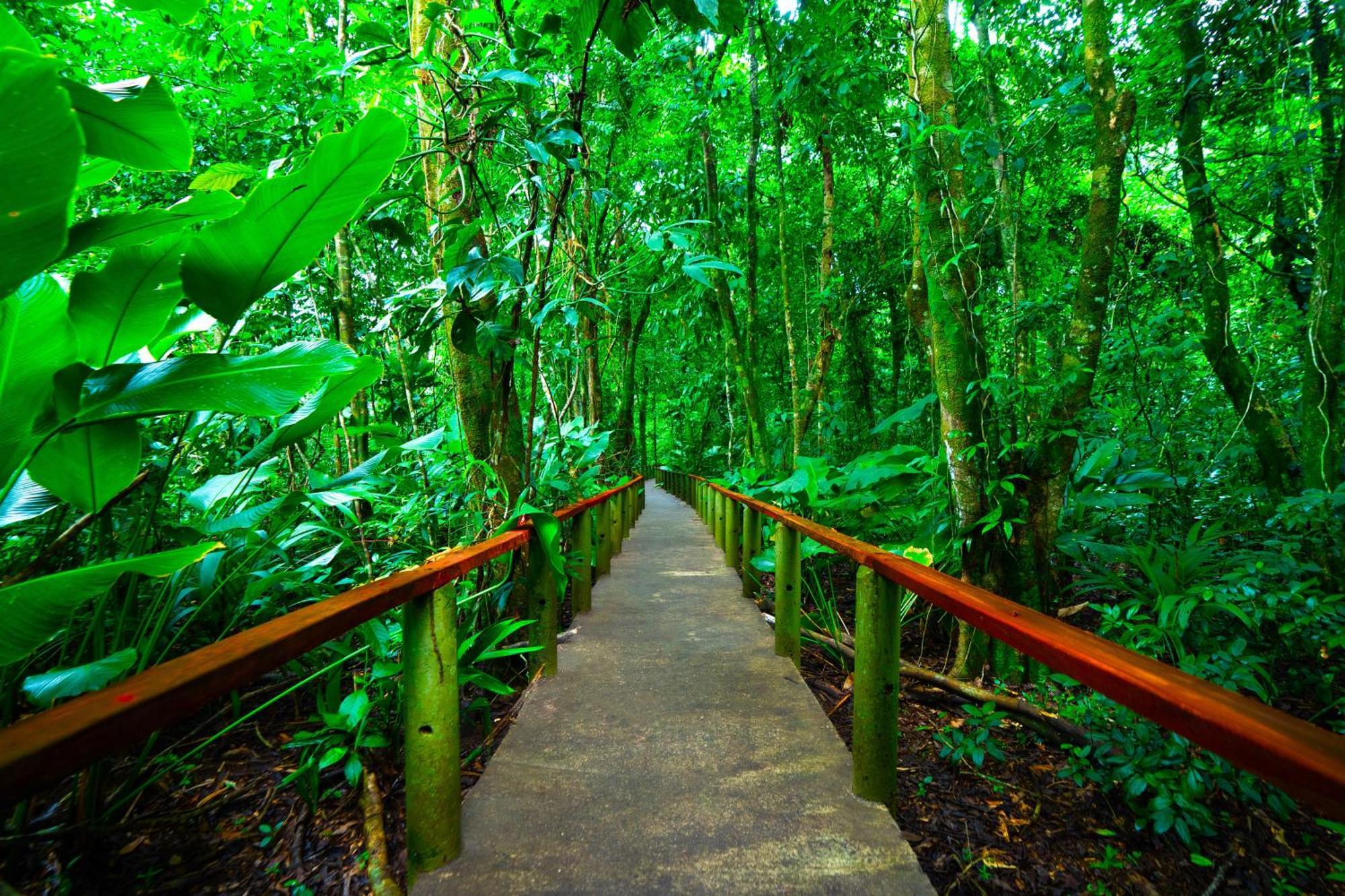 Aninga Lodge Tortuguero Extérieur photo