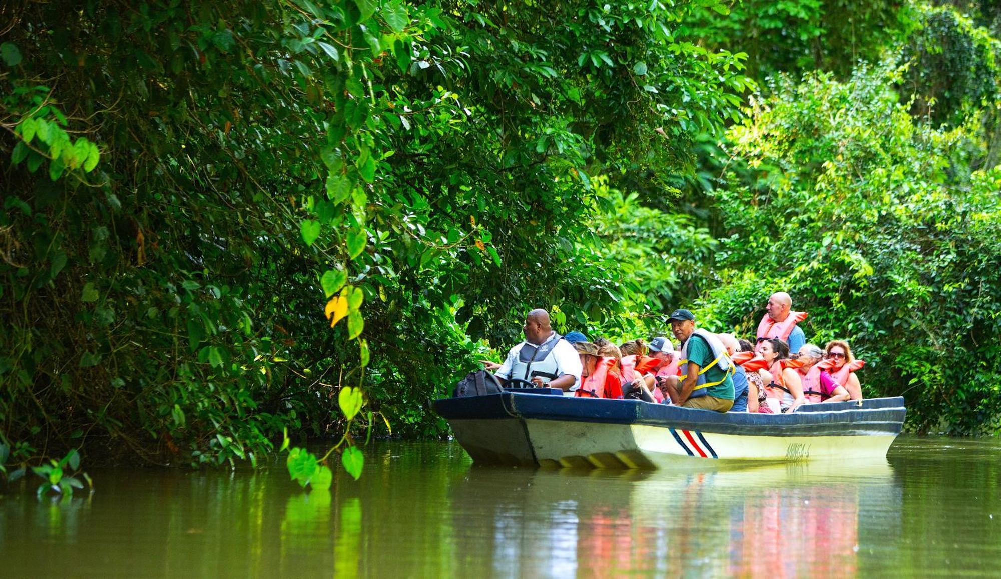 Aninga Lodge Tortuguero Extérieur photo