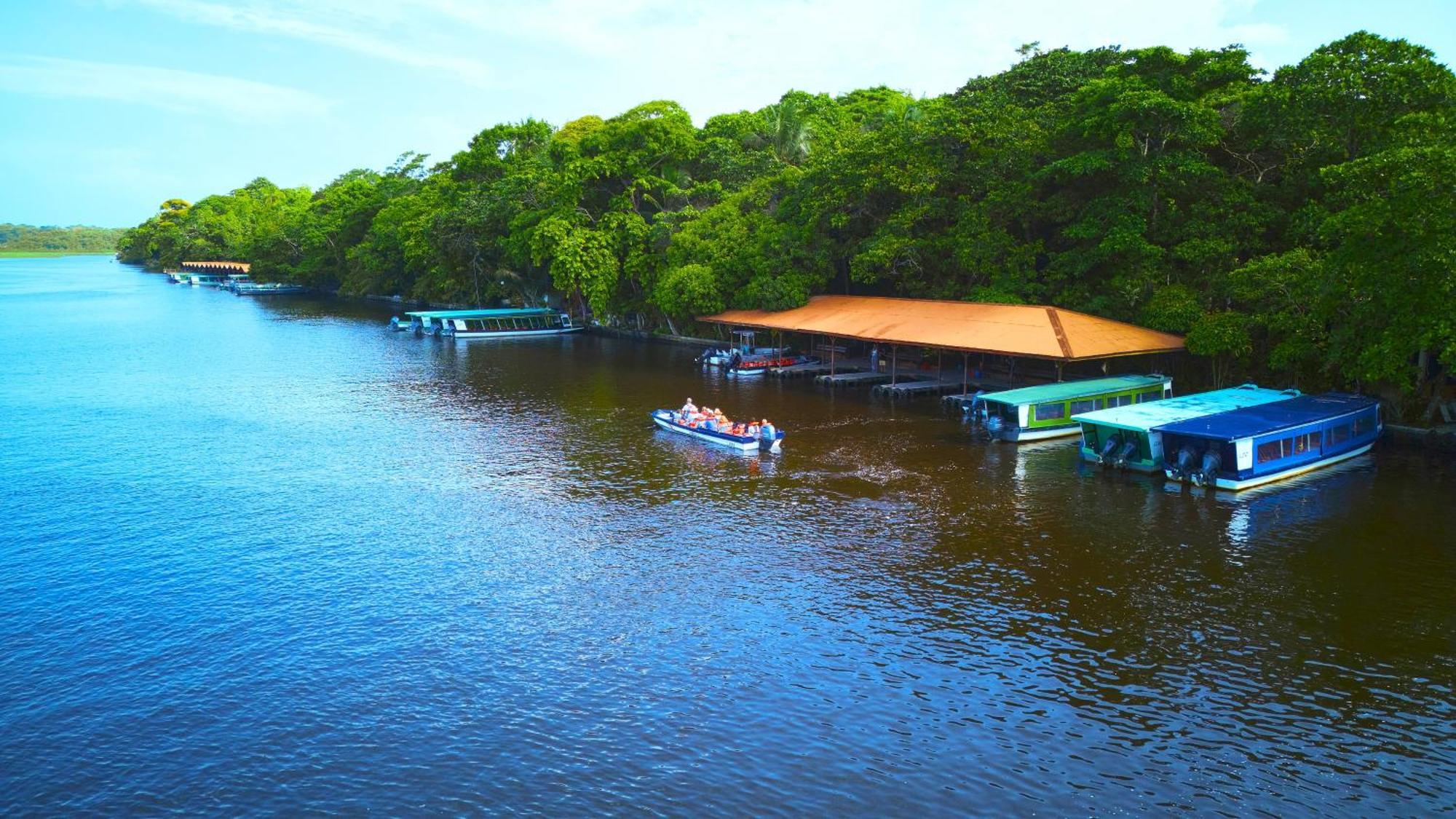 Aninga Lodge Tortuguero Extérieur photo