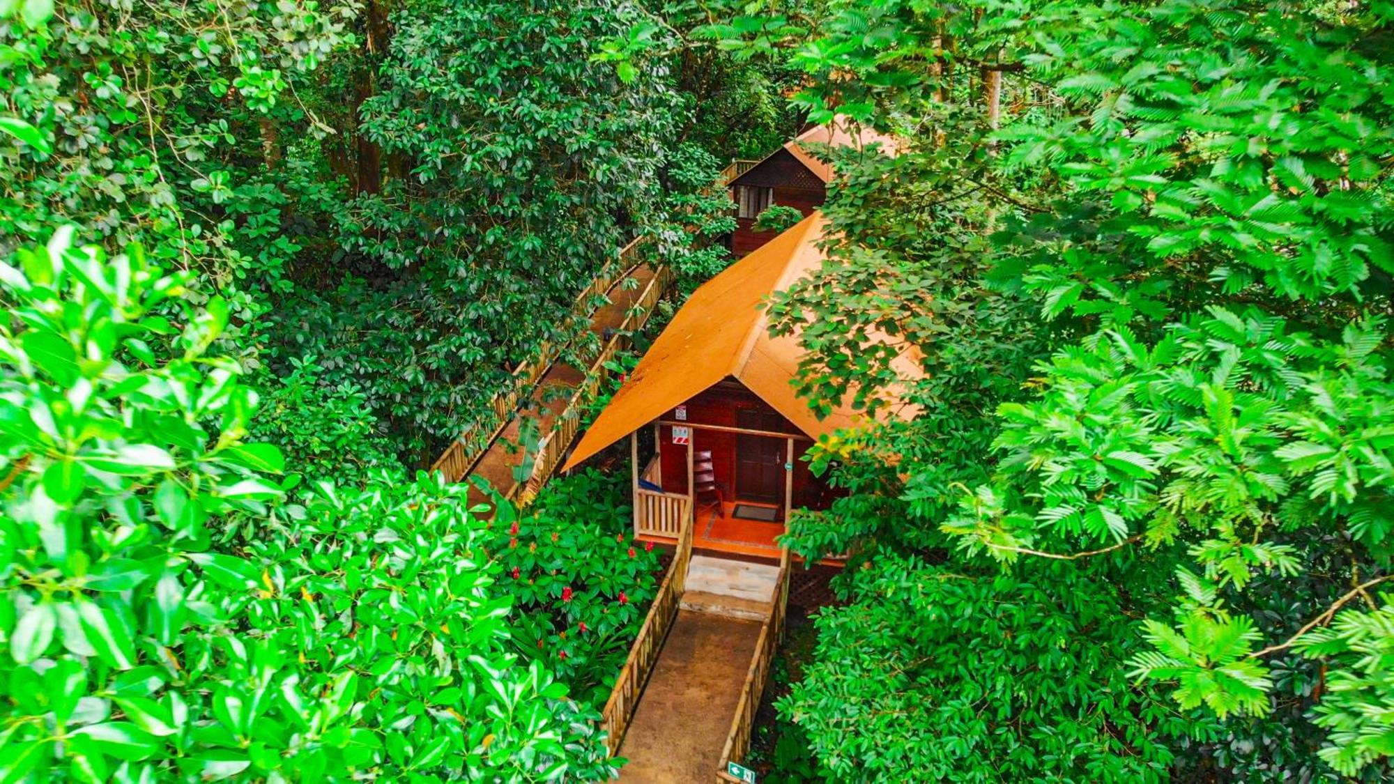 Aninga Lodge Tortuguero Extérieur photo