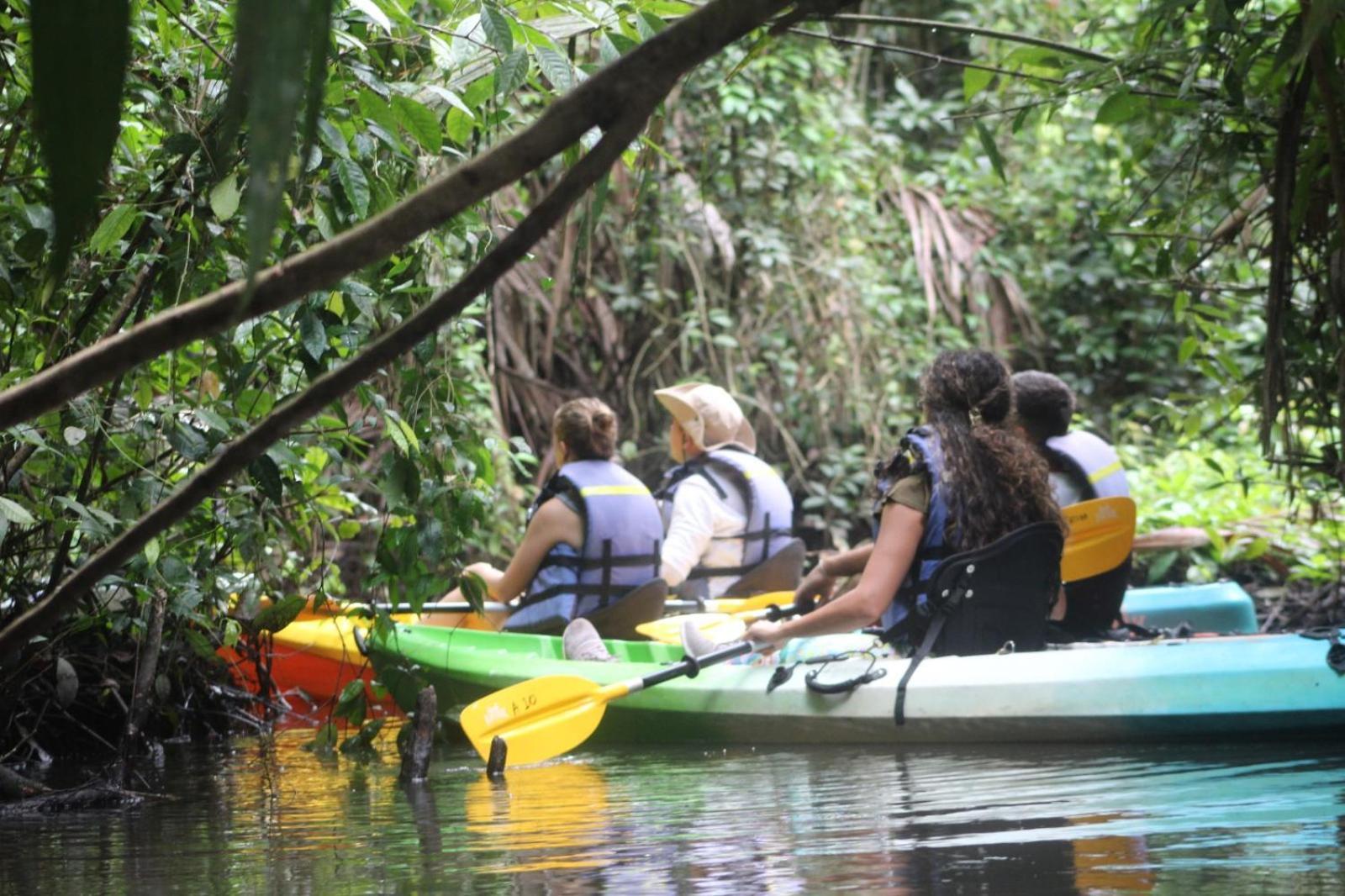 Aninga Lodge Tortuguero Extérieur photo