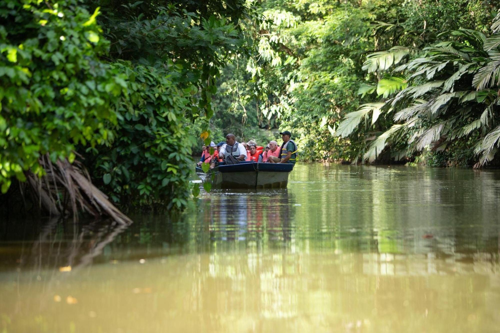 Aninga Lodge Tortuguero Extérieur photo