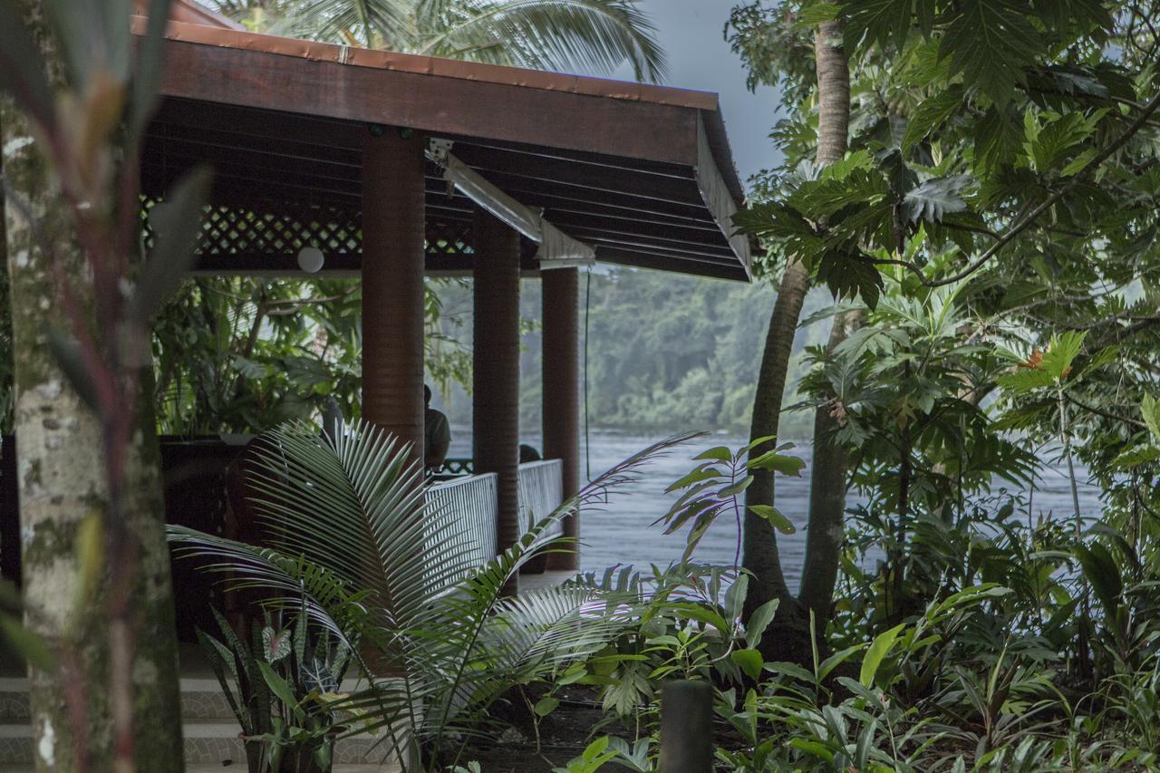Aninga Lodge Tortuguero Extérieur photo